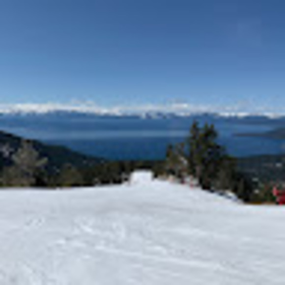 Meet your Posher, Dylan - Picture 1 of 1